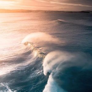 Meet your Posher, Karrie